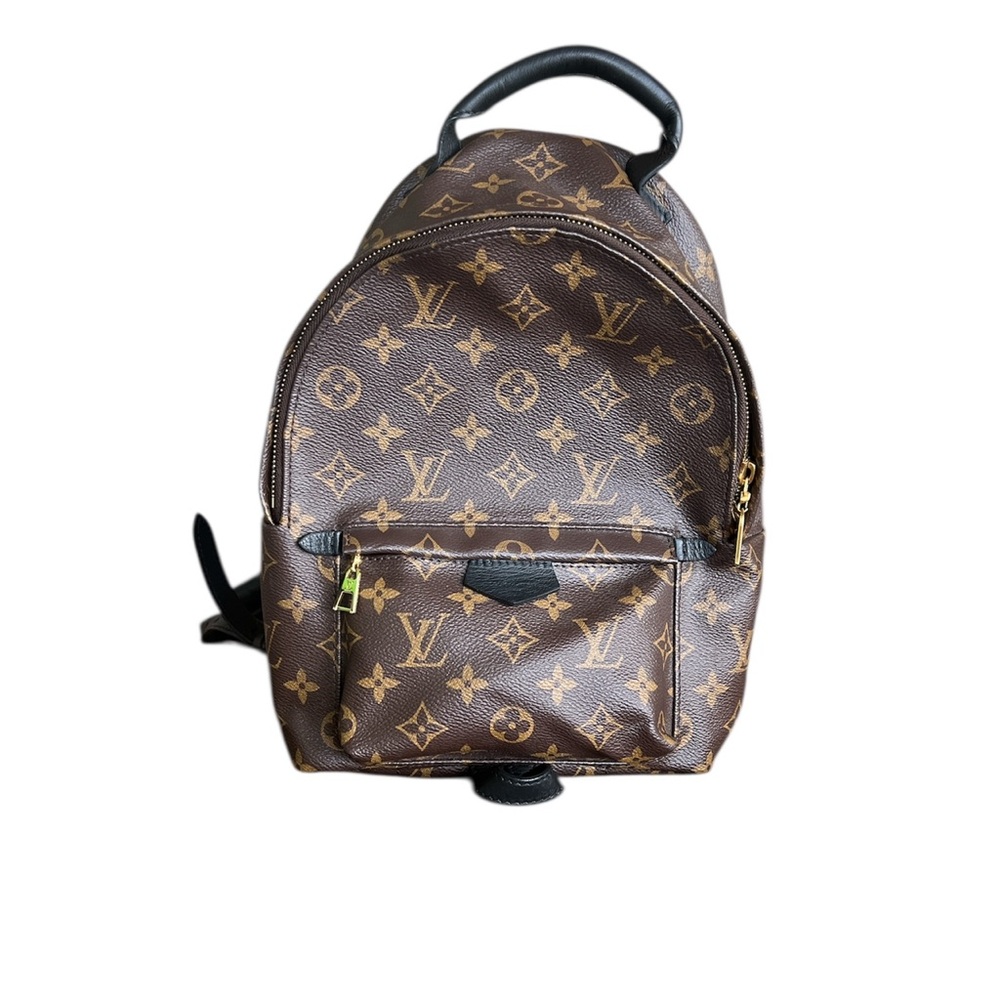 Louis Vuitton Palm Spring PM Backpack in Brown Monogram